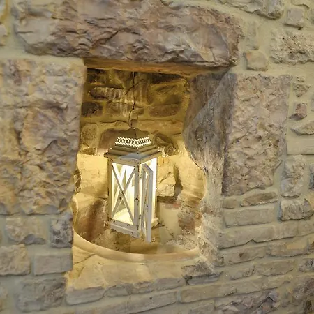 Brizi Assisi